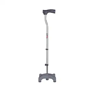 Quadripod Stand Walking Stick for 200/- Rent per month!
